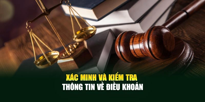 Xác minh và kiểm tra thông tin về điều khoản